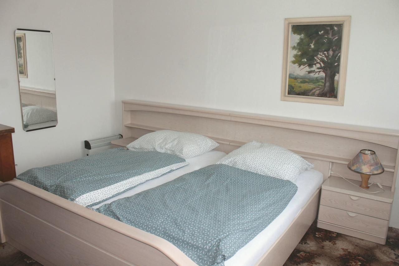 Apartman Luznicka, Soběslav 外观 照片